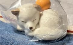 もちにまるのサムネイル