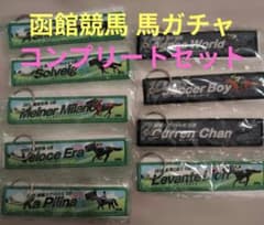 JRA 函館競馬 馬ガチャ フライトタグ 9種コンプリートセット 競馬 ウマ娘 JRA 函館 競馬 馬ガチャ フライトタグ 9種コンプリートセット 競馬