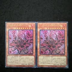 3⭐️ブラック・ローズ・ドラゴン／バスター2枚】遊戯王OCG