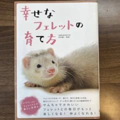 幸せなフェレットの育て方のサムネイル
