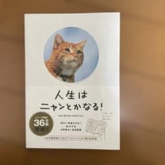 人生はニャンとかなる！のサムネイル