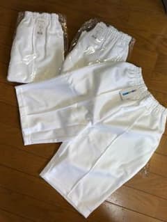 体操服白ズボンのサムネイル
