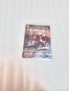 fgo 빌디바이드 SSR 버번시