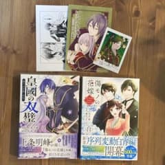 傷モノの花嫁　11巻　皇國の双璧　傷モノの花嫁外伝　2冊セット　特典付き　美品のサムネイル