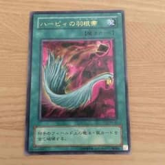 ナイキさん専用 ハーピィの羽根箒のサムネイル