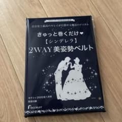 ゼクシィ付録　美姿勢ベルトのサムネイル