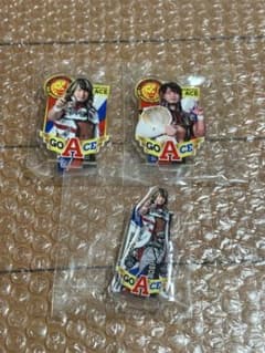 棚橋弘至 引退カウントダウンくじ アクリルスタンド ⑦ - メルカリ