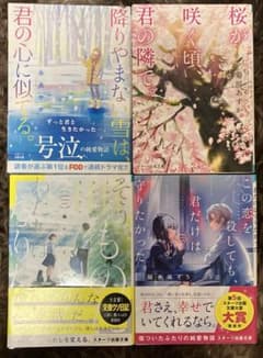 小説4点セットのサムネイル