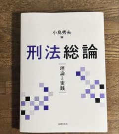 刑法総論 理論と実践のサムネイル