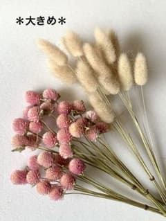 ドライフラワー　＊大きめ＊　ラグラス&茎付きの千日紅のサムネイル
