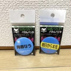 【VILLAGE VANGUARD】青春なう・明日から本気 バカんバッジセットのサムネイル