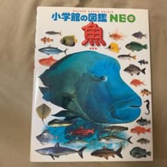 魚のサムネイル