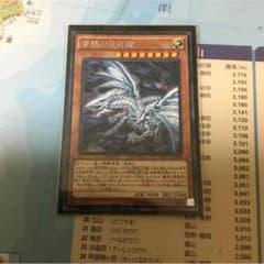 青眼の亜白龍 ふみごん様専用のサムネイル