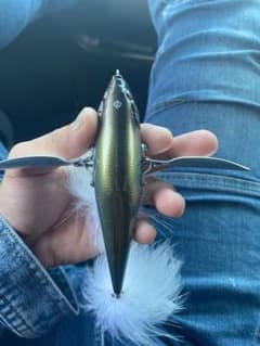 ダッチ　レイドジャパンのサムネイル
