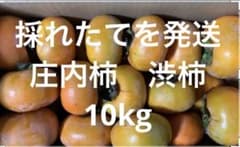 令和8年度 山形県産 庄内柿　渋柿　約10kgのサムネイル