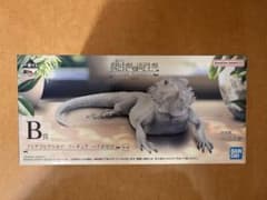 B상 풋아고히게 도마뱀 피규어 하이포제로 이치반쿠지 파충류 & 양서류