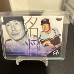 m89769113089_1.jpg?1729352391