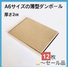 薄型ダンボール 12枚セットのサムネイル