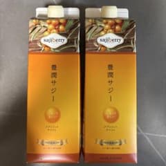 豊潤サジー 1000ml 2本セット - メルカリ