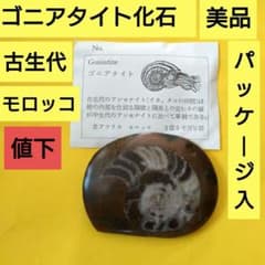 m89771775390_1.jpg?1716809964