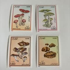 アルジェリア キノコの切手4種完 未使用 1983 - メルカリ