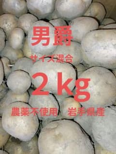감자 남작 2kg 사이즈 혼합 농약 미사용 이와테현산 메르카리시 가격!