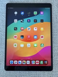 ヒメカ様専用　iPad Pro 10.5 64GB スペースグレーのサムネイル