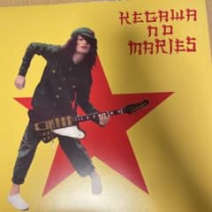 毛皮のマリーズ　レコード3枚セット　毛タワのマレコZ付きのサムネイル