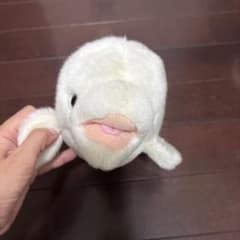 벨루가 흰돌고래 봉제인형