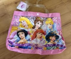 Unused with tags: Disney Princess vinyl bag