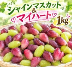 山形産 ぶどう シャインマスカット&マイハート 1kg 粒バラ - メルカリ