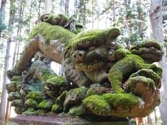 セナ様専用ページのサムネイル