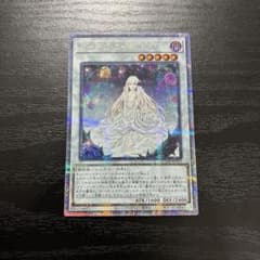 遊戯王 ガーデンローズメイデン 25thシークレットレア1枚 - メルカリ