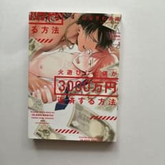 火遊びした僕が3000万円返済する方法のサムネイル