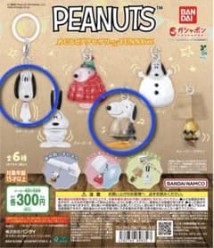 PEANUTS めじるしアクセサリー　FUNNYver. ピーナッツ　スヌーピーのサムネイル