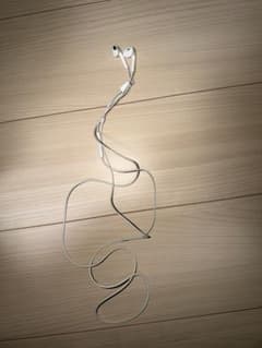 Apple EarPods Lightningコネクタ 本体のサムネイル