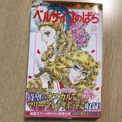 ベルサイユのばら 13のサムネイル