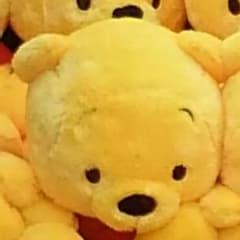 専用のサムネイル
