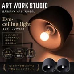 アートワークスタジオ イブシーリングライト 2個 ブラック AW-0635のサムネイル