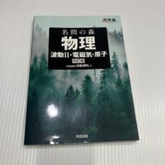【ハピ様専用】名問の森　物理　波動Ⅱ・電磁気・原子のサムネイル