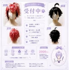 猫太郎様 オーダー品ウィッグ ウィッグオーダー受付中 - メルカリ