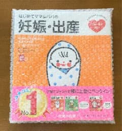 はじめてママ&パパの妊娠・出産のサムネイル