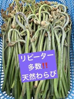 岩手県産‼️天然わらびネコポスいっぱいのサムネイル