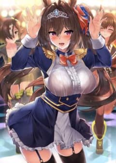 新品未使用 ウマ娘 プリティーダービー ダイワスカーレット B2布ポスター 新品未使用 ウマ娘 プリティーダービー ダイワスカーレット B2布