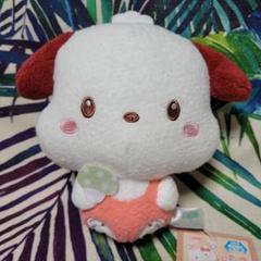 サンリオキャラクターズ　ポコポコきのこドール1　ポチャッコ