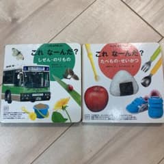 知育　しかけ絵本など11冊セットのサムネイル