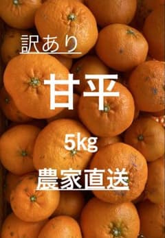 訳あり 甘平 箱込み約5kg 愛媛県農家直送のサムネイル