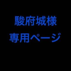 駿府城様専用ページのサムネイル