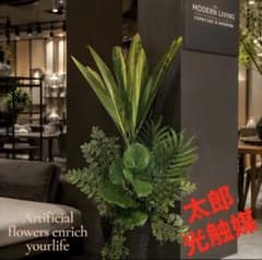 光触媒　観葉植物　ウォールグリーン　フェイクグリーン　マッサンアレンジgt2 光触媒 人工観葉植物 ウォールグリーン フェイクグリーン マッサン