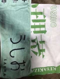 日向坂46 潮紗理菜　グッズセット　生写真　マフラータオルのサムネイル